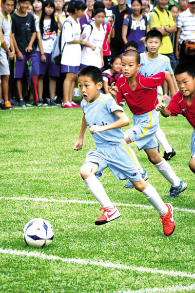 小熊捧起世 小熊捧起世